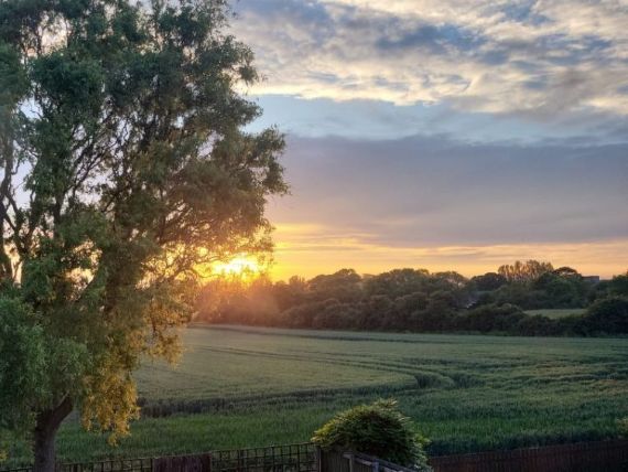 Welwick countryside